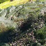 Venkovský dům Casolare Azzurro Acquaviva Picena