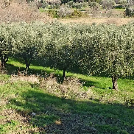 Casa di campagna Casolare Azzurro *