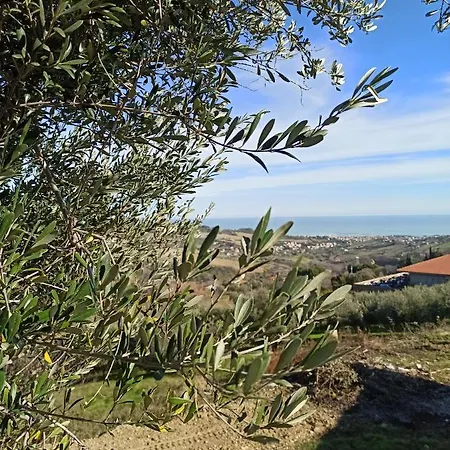 Casolare Azzurro * Acquaviva Picena