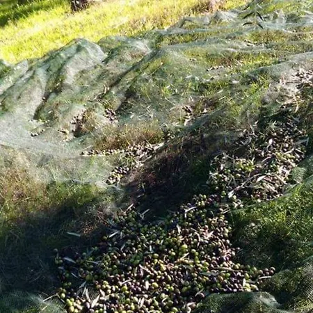 Casa di campagna Casolare Azzurro Acquaviva Picena