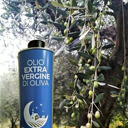 Casa di campagna Casolare Azzurro